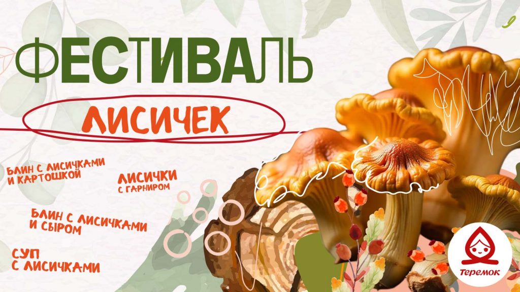 ФЕСТИВАЛЬ ЛИСИЧЕК в Теремке!